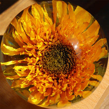 Load image into Gallery viewer, Wedding Gift for Best Friend- Preserved Sunflower in Resin
