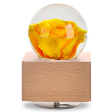 Load image into Gallery viewer, Red Rose Crystal Ball Music Box with LED Mood Light
