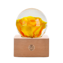 Load image into Gallery viewer, Red Rose Crystal Ball LED Night Light
