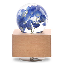 Load image into Gallery viewer, wooden music box Blue Hydrangea Crystal Ball Wooden Music Box with LED Mood Light lightue
