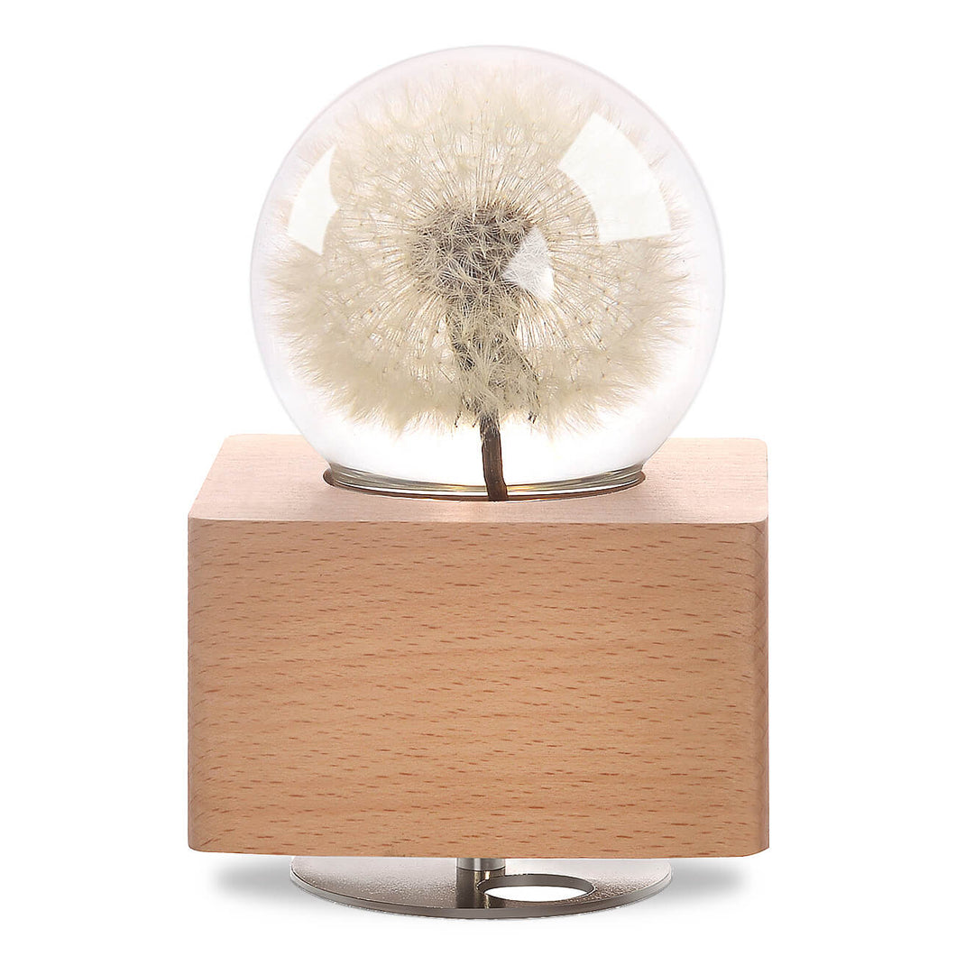 cute gifts for girlfriend Dandelion Crystal Ball Music Box with LED Mood Light lightue