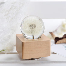 Load image into Gallery viewer, cute gifts for girlfriend Dandelion Crystal Ball Music Box with LED Mood Light lightue
