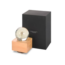 Load image into Gallery viewer, cute gifts for girlfriend Dandelion Crystal Ball Music Box with LED Mood Light lightue
