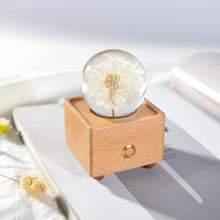 Load image into Gallery viewer, unique anniversary gifts Dandelion Crystal Ball Bluetooth Speaker with LED Mood Light lightue
