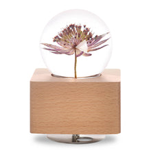 Load image into Gallery viewer, personalized gifts for mom Great Masterwort Crystal Ball Music Box with LED Mood Light lightue
