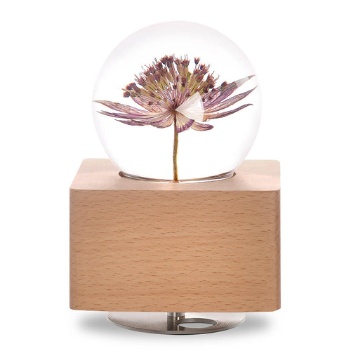 personalized gifts for mom Great Masterwort Crystal Ball Music Box with LED Mood Light lightue