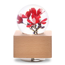 Load image into Gallery viewer, Peregrina Crystal Ball Music Box with LED Mood Light
