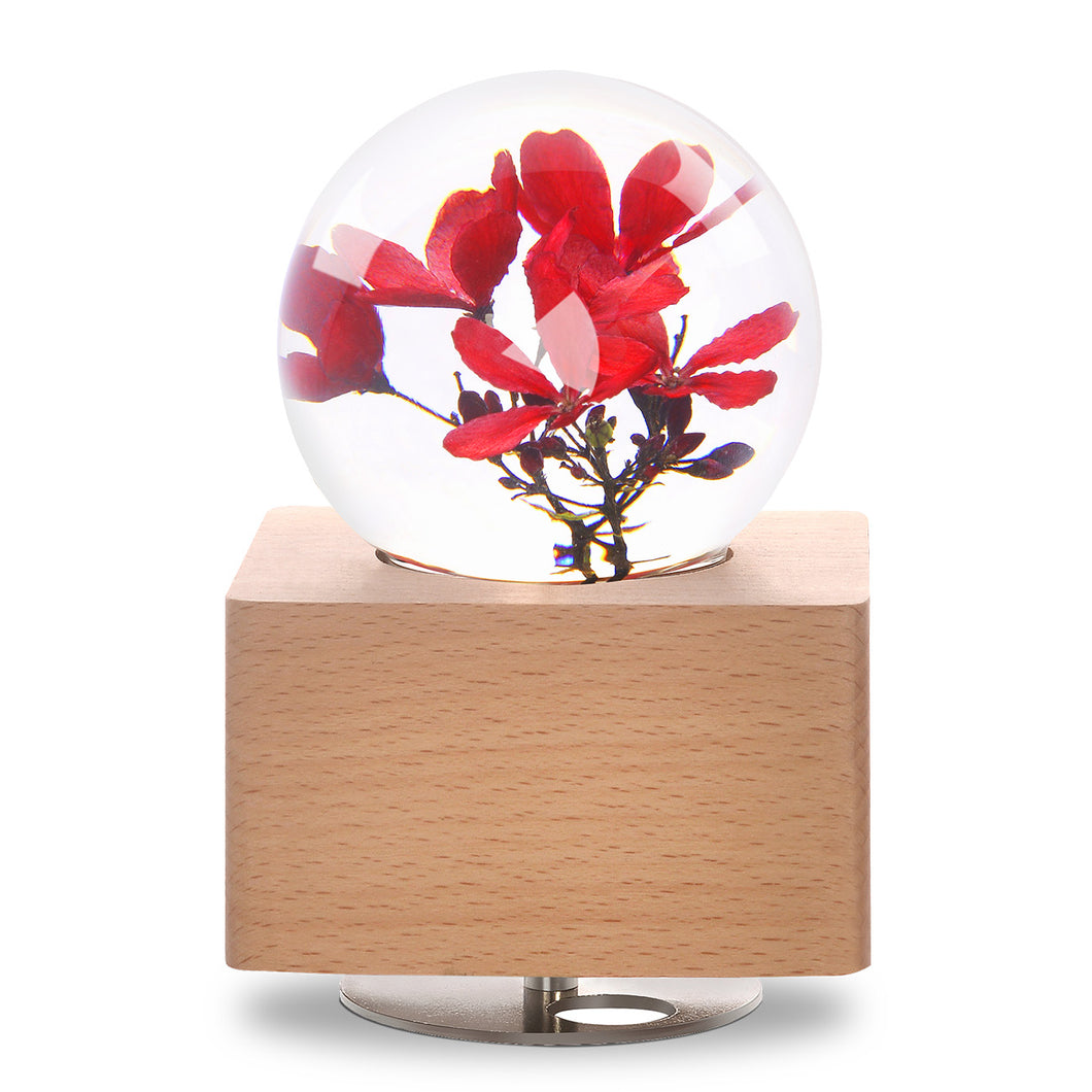 Peregrina Crystal Ball Music Box with LED Mood Light