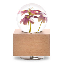 Load image into Gallery viewer, anniversary gifts for her Rangoon Creeper Crystal Ball Music Box with LED Mood Light lightue
