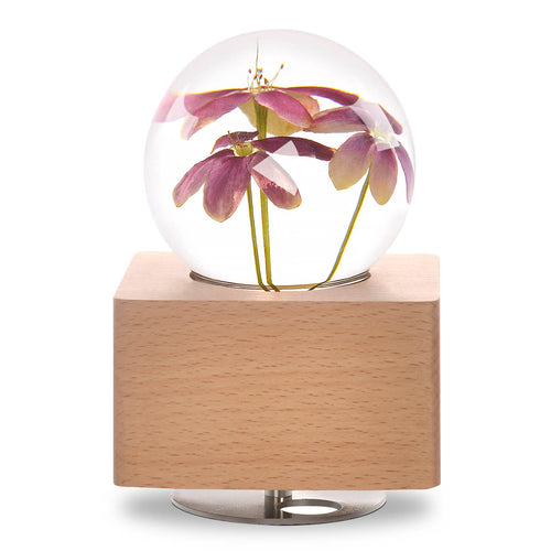 anniversary gifts for her Rangoon Creeper Crystal Ball Music Box with LED Mood Light lightue