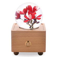 Load image into Gallery viewer, unique gifts for women Peregrina Crystal Ball Bluetooth Speaker with LED Mood Light lightue
