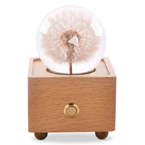 unique anniversary gifts Dandelion Crystal Ball Bluetooth Speaker with LED Mood Light lightue