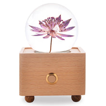 Load image into Gallery viewer, birthday gifts for mom Great Masterwort Crystal Ball Bluetooth Speaker with LED Mood Light lightue
