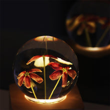 Load image into Gallery viewer, cute night light Rangoon Creeper Crystal Ball LED Night Light lightue
