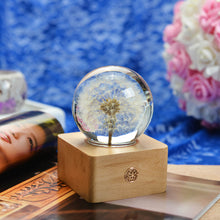 Load image into Gallery viewer, personalized gifts for her Dandelion Crystal Ball LED Night Light lightue
