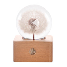 Load image into Gallery viewer, personalized gifts for her Dandelion Crystal Ball LED Night Light lightue
