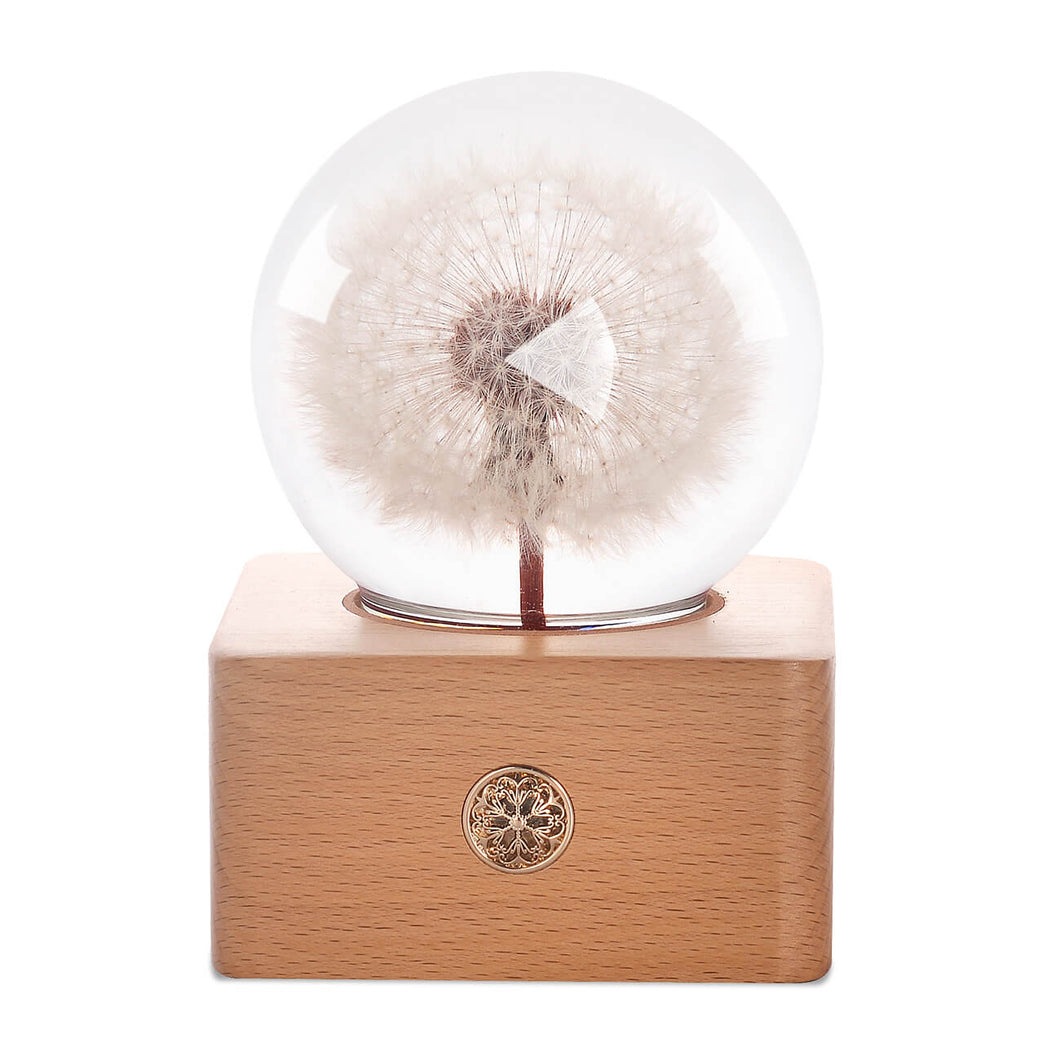 personalized gifts for her Dandelion Crystal Ball LED Night Light lightue