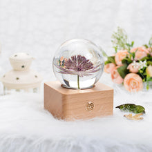 Load image into Gallery viewer, birthday gifts for her ideas Great Masterwort Crystal Ball LED Night Light lightue
