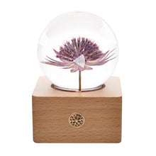Load image into Gallery viewer, birthday gifts for her ideas Great Masterwort Crystal Ball LED Night Light lightue
