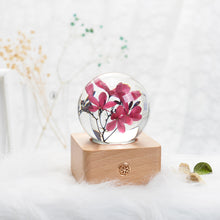 Load image into Gallery viewer, romantic gifts for her Peregrina Crystal Ball LED Night Light lightue
