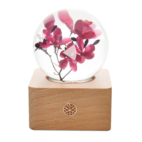 romantic gifts for her Peregrina Crystal Ball LED Night Light lightue