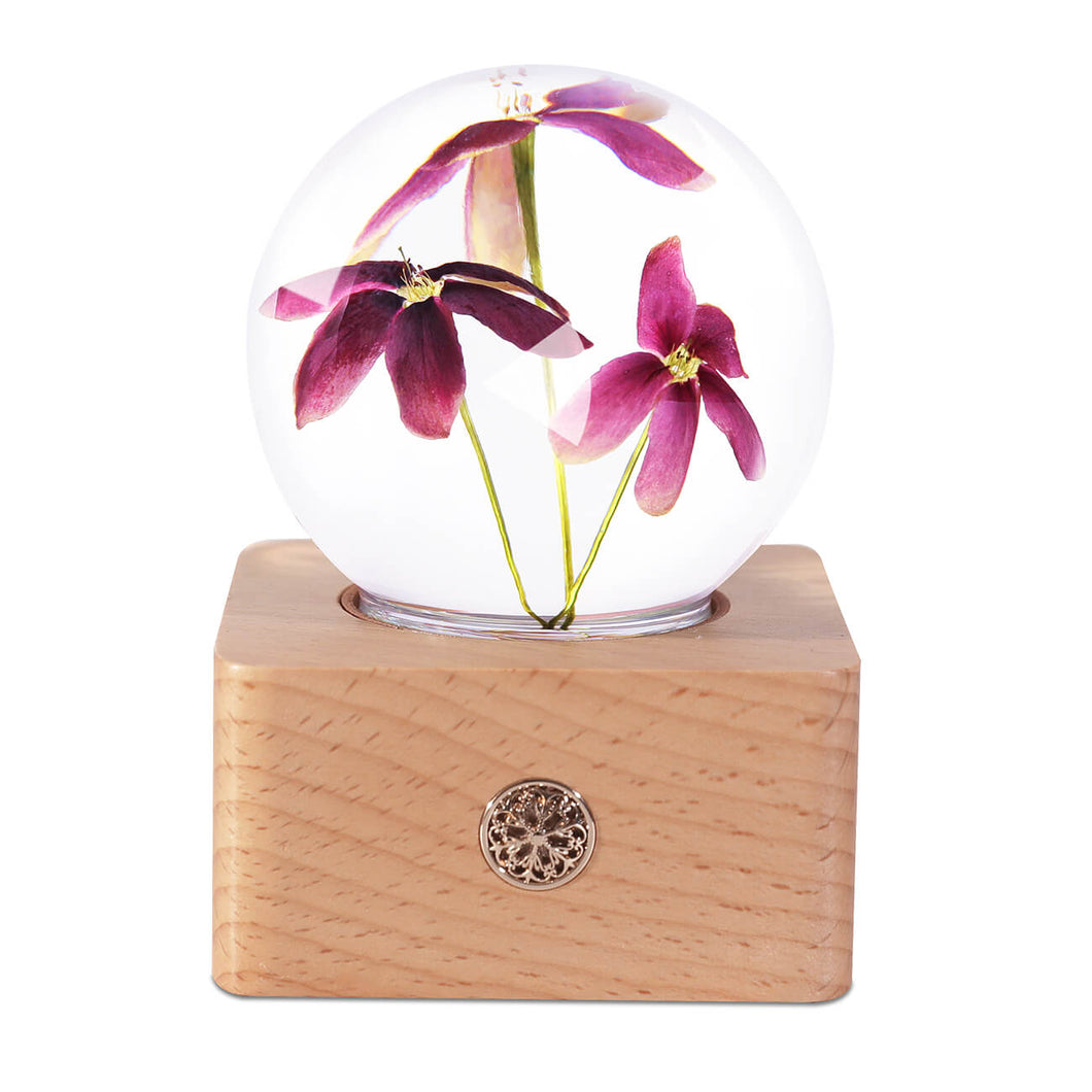 cute night light Rangoon Creeper Crystal Ball LED Night Light lightue