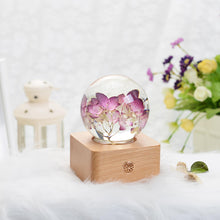 Load image into Gallery viewer, gift 9 years old girl Red Hydrangea Crystal Ball LED Night Light lightue
