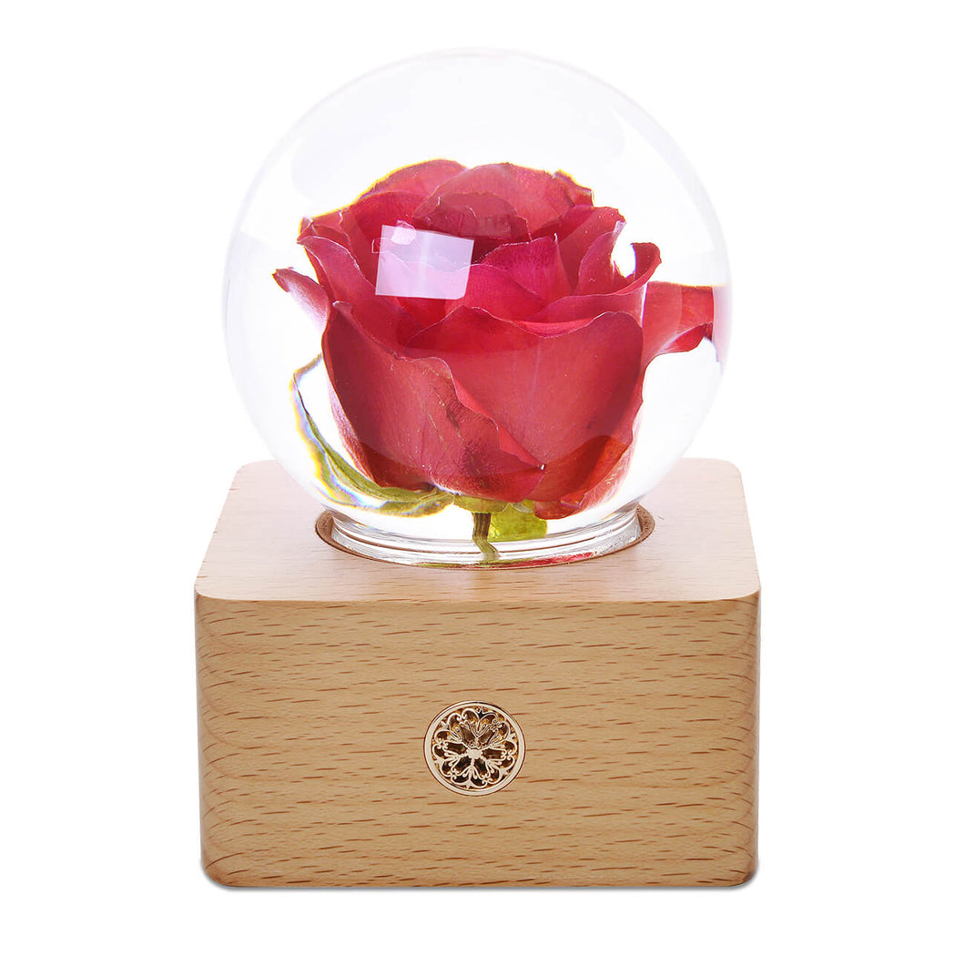 Red Rose Crystal Ball LED Night Light