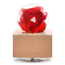 Load image into Gallery viewer, real rose Red Rose Crystal Ball Music Box with LED Mood Light lightue
